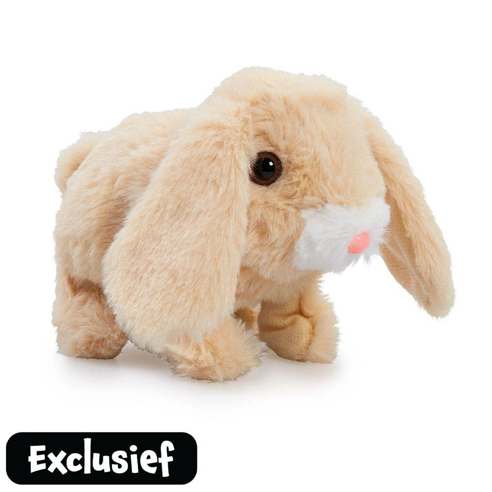 Teeny Weeny Konijn Flapoor 3 Teeny Weeny Konijn Flapoor